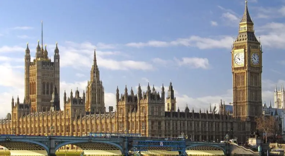 畢業(yè)論文輔導(dǎo)