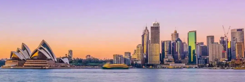 畢業(yè)論文輔導(dǎo)