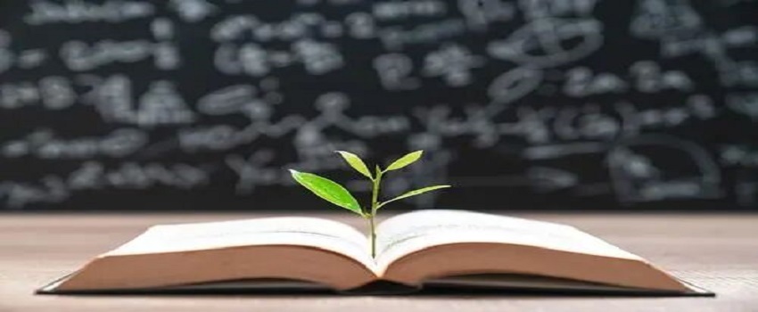 本科期間如何為自己留學加拿大做準備？