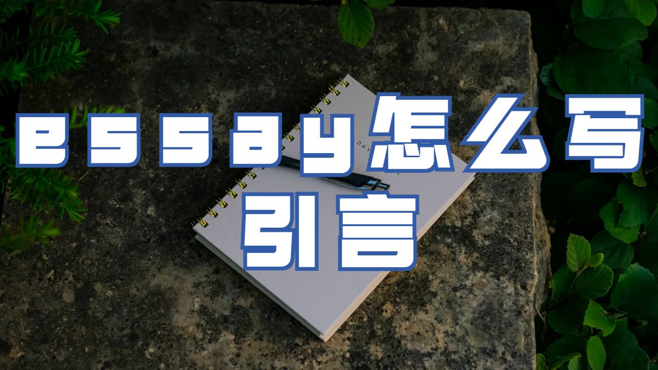 essay怎么寫