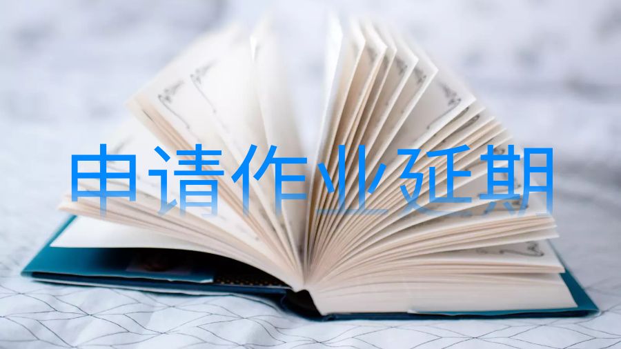 留學(xué)生作業(yè)輔導(dǎo)