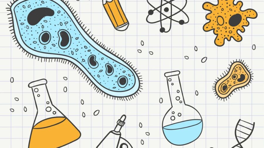 生物學(xué)課程輔導(dǎo)