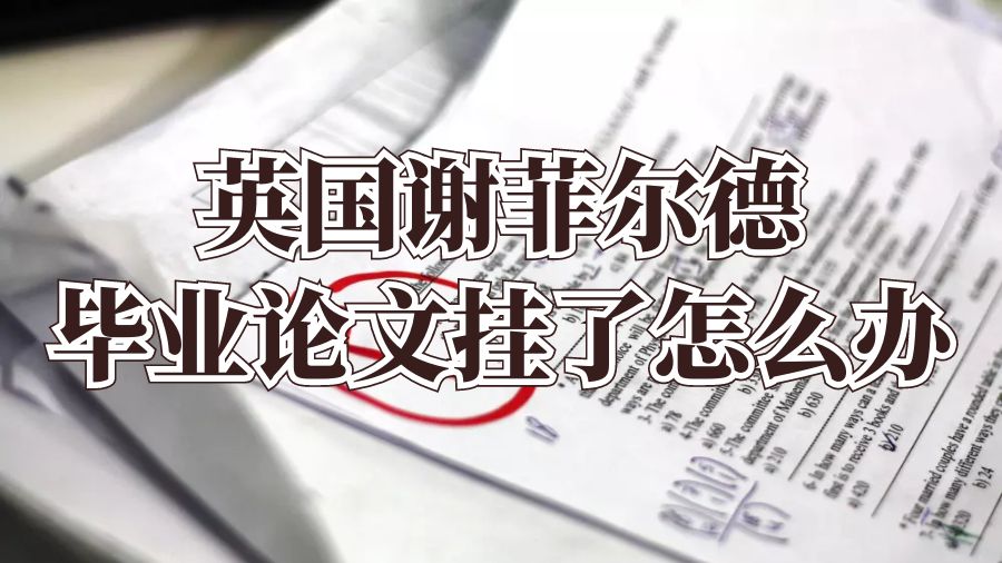 畢業(yè)論文掛了