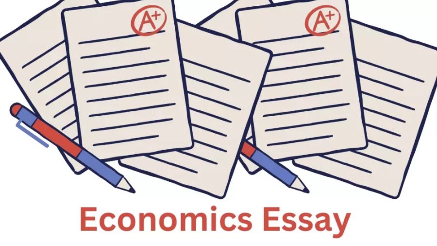 微觀經(jīng)濟學論文寫作