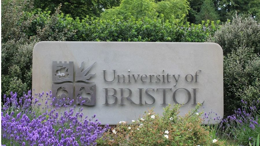英國布里斯托大學掛科