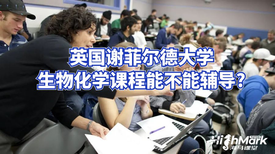 英國謝菲爾德大學生物化學課程能不能輔導?