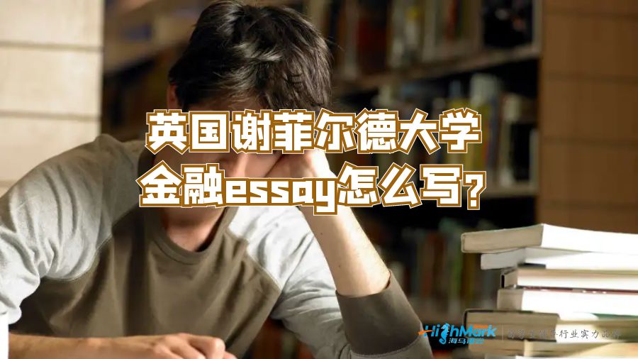 英國(guó)謝菲爾德大學(xué)金融essay怎么寫(xiě)?