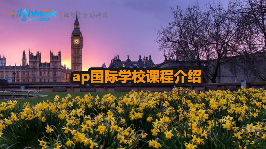 ap國際學(xué)校課程是什么