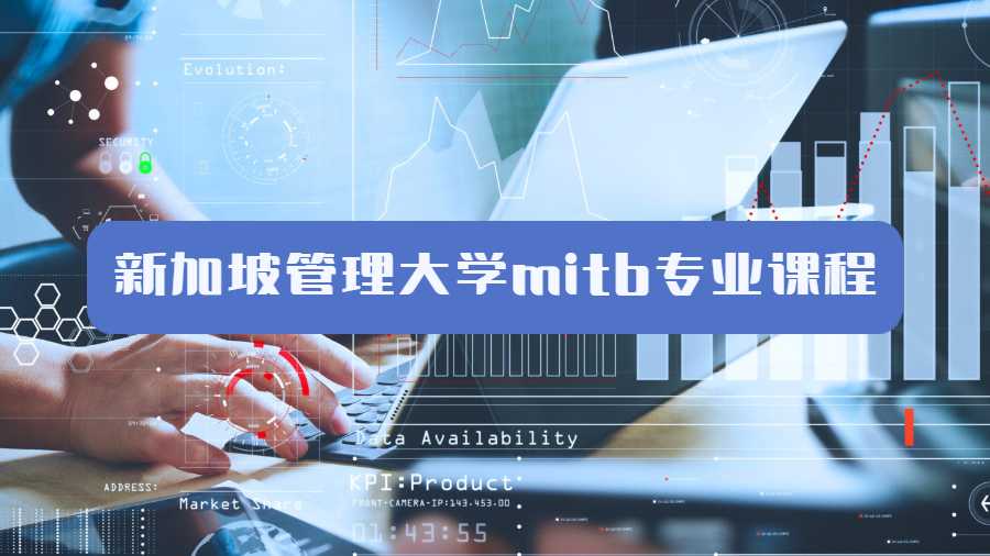 新加坡管理大學(xué)mitb專業(yè)課程