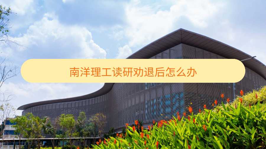 南洋理工讀研勸退后怎么辦