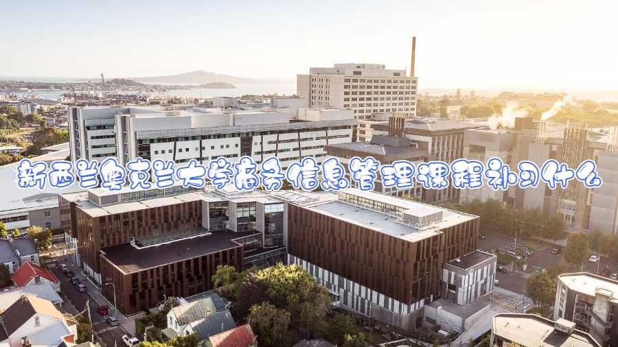 新西蘭奧克蘭大學商務信息管理課程補習什么