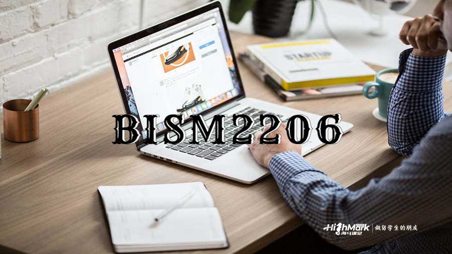 BISM2206