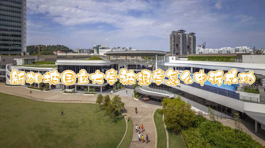新加坡國立大學(xué)被退學(xué)怎么申訴成功