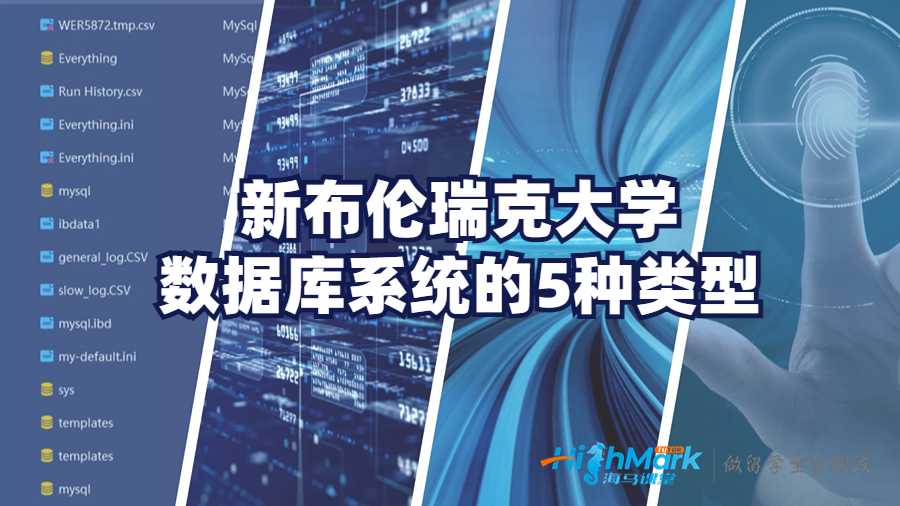 新布倫瑞克大學(xué)數(shù)據(jù)庫(kù)系統(tǒng)的5種類型