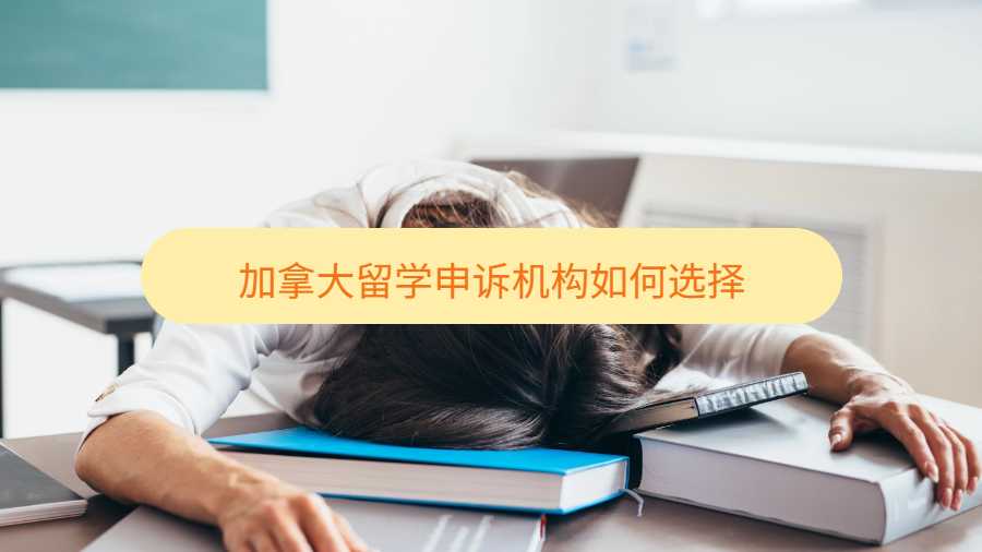 加拿大留學(xué)申訴機(jī)構(gòu)如何選擇