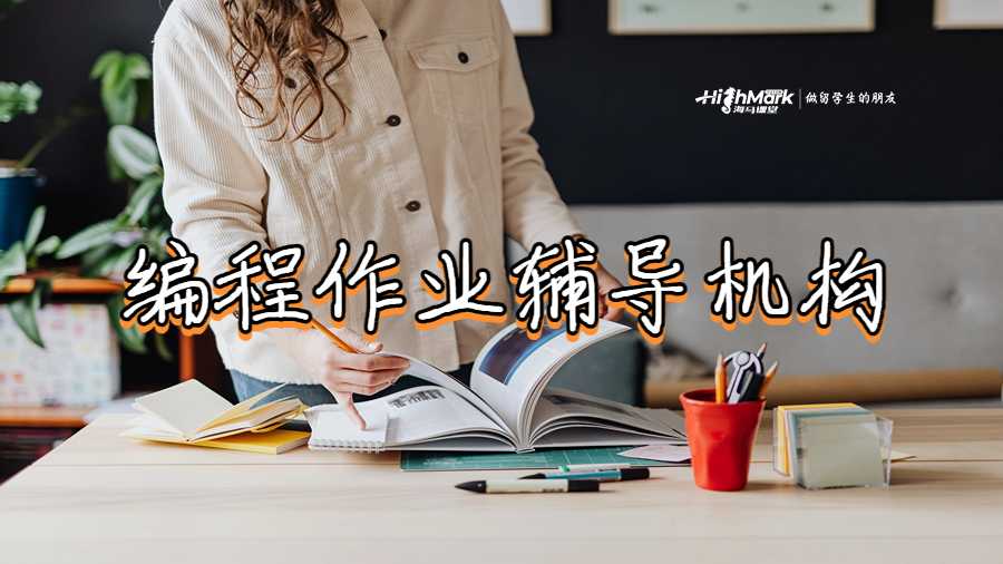 編程作業(yè)輔導機構