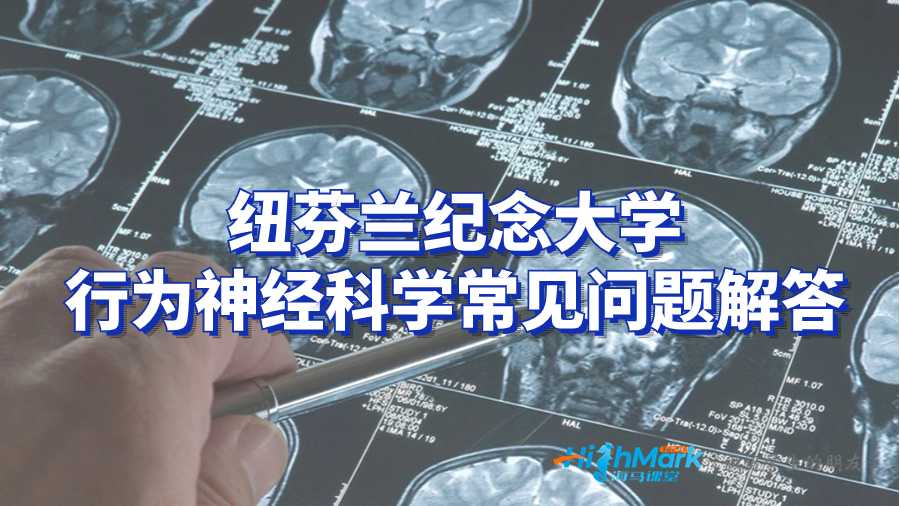 紐芬蘭紀念大學