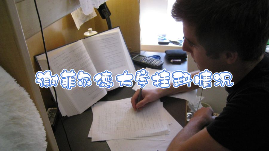 謝菲爾德大學(xué)掛科情況