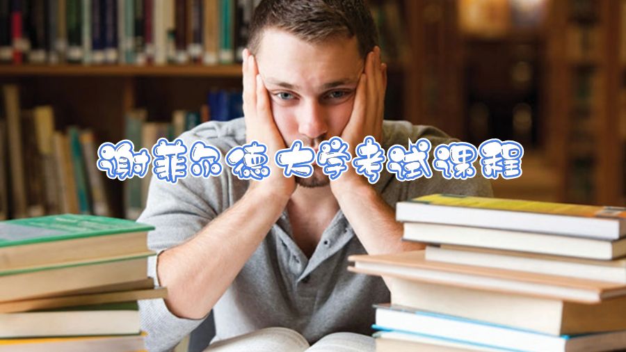 謝菲爾德大學考試課程