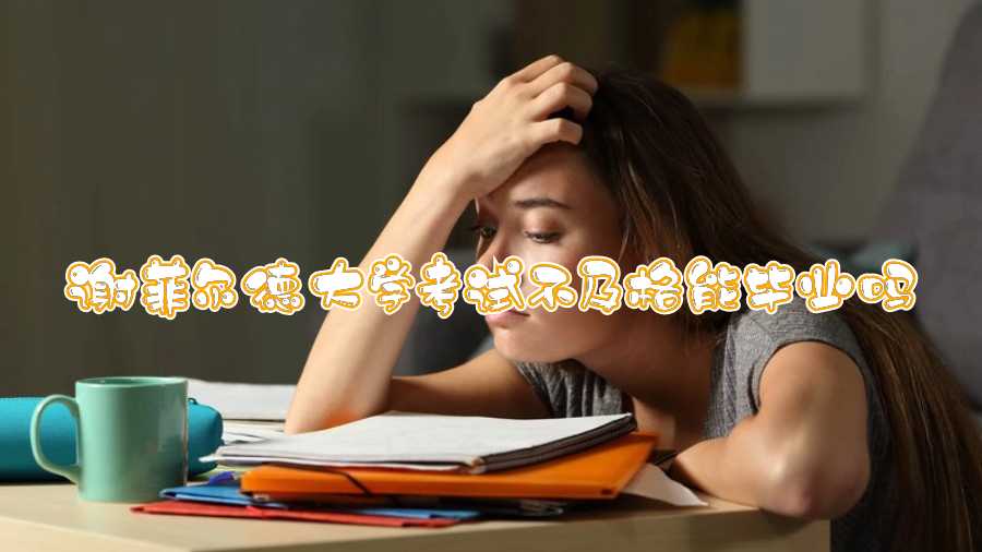 謝菲爾德大學(xué)考試不及格能畢業(yè)嗎