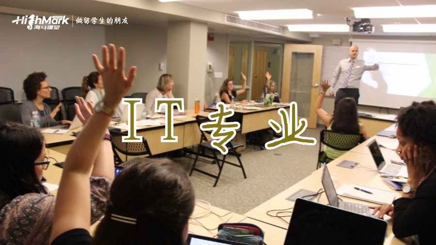 IT專業(yè)