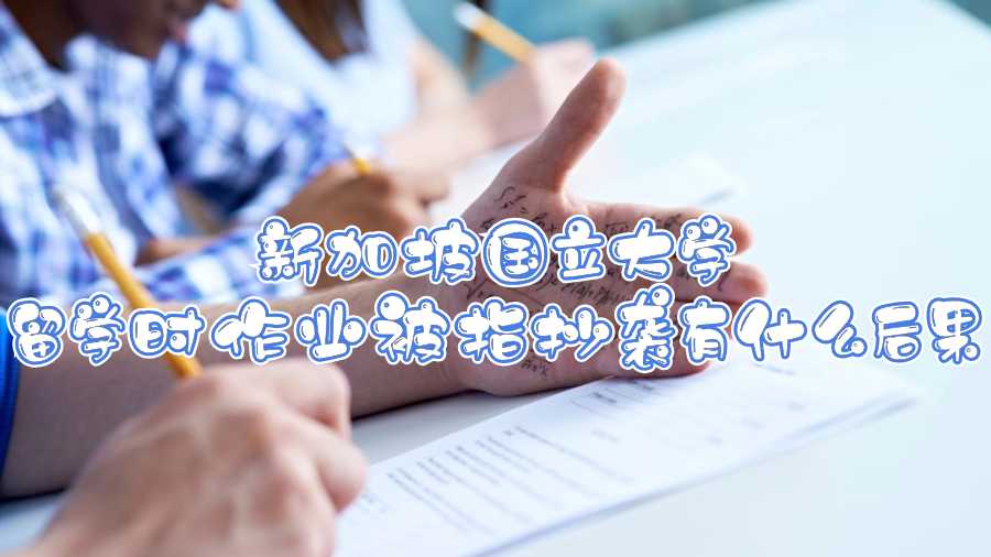 新加坡國立大學留學時作業(yè)被指抄襲有什么后果