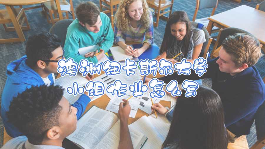 澳洲紐卡斯?fàn)柎髮W(xué)小組作業(yè)怎么寫