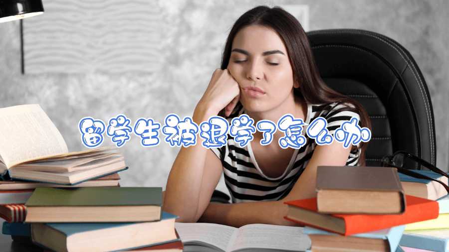 留學(xué)生被退學(xué)了怎么辦