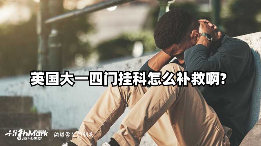 英國(guó)大一四門掛科怎么補(bǔ)救啊?