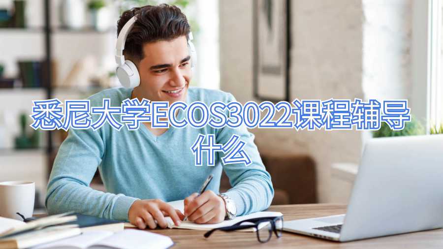 悉尼大學(xué)ECOS3022課程輔導(dǎo)什么