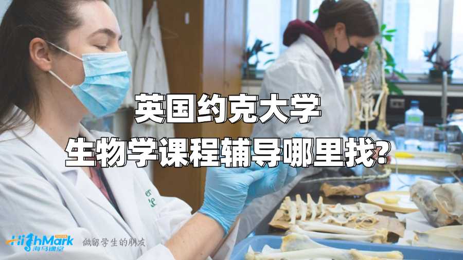 英國約克大學生物學課程輔導(dǎo)哪里找?