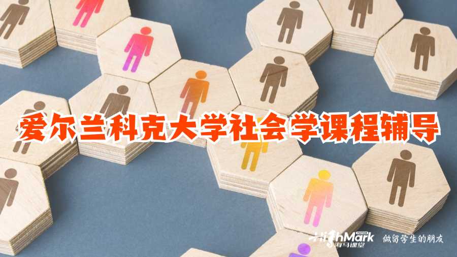 愛(ài)爾蘭科克大學(xué)社會(huì)學(xué)課程輔導(dǎo)