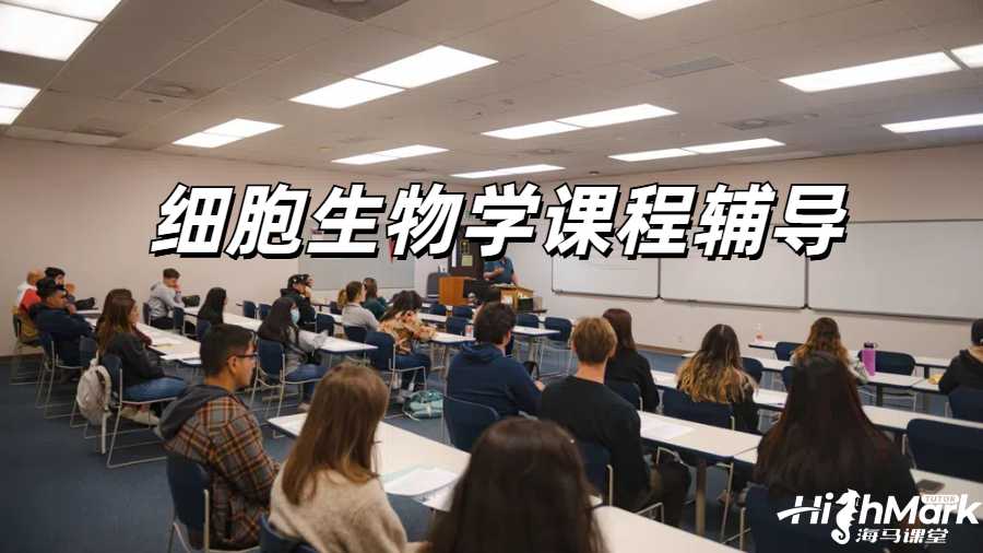 留學(xué)生課程輔導(dǎo)