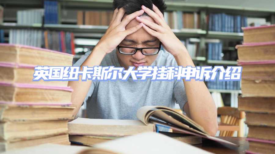 英國紐卡斯?fàn)柎髮W(xué)掛科申訴介紹