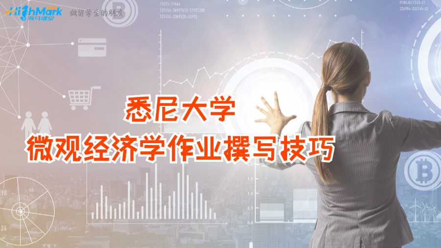 悉尼大學(xué)微觀經(jīng)濟(jì)學(xué)作業(yè)撰寫技巧
