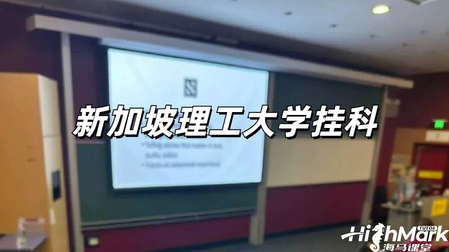 新加坡理工大學掛科解決方案！