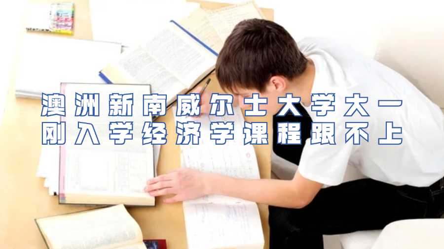 澳洲新南威爾士大學(xué)大一剛?cè)雽W(xué)經(jīng)濟(jì)學(xué)課程跟不上