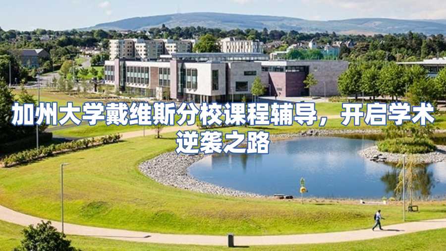 加州大學(xué)戴維斯分校課程輔導(dǎo)