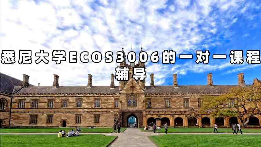 悉尼大學(xué)ECOS3006的一對一課程輔導(dǎo)