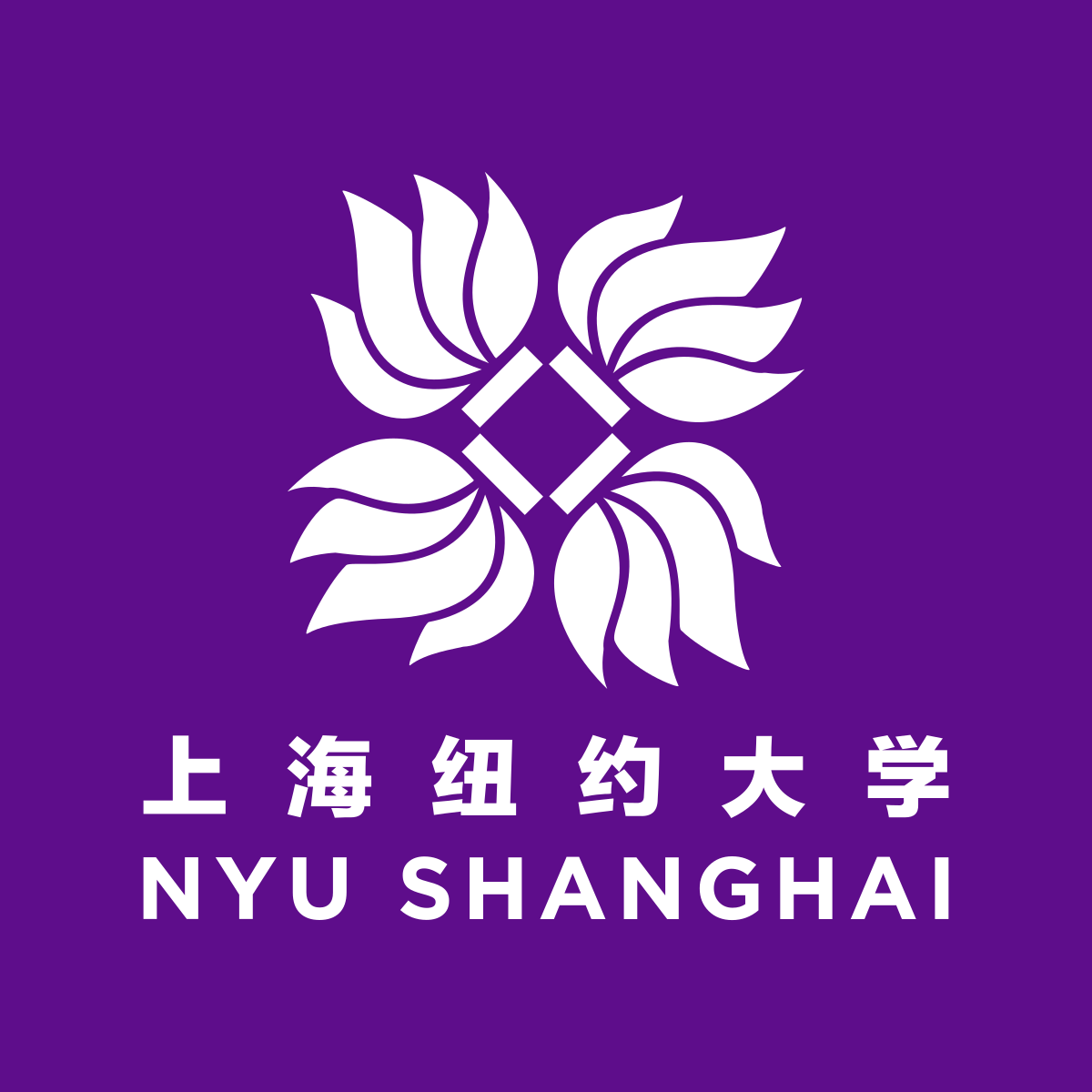 上海紐約大學(xué)