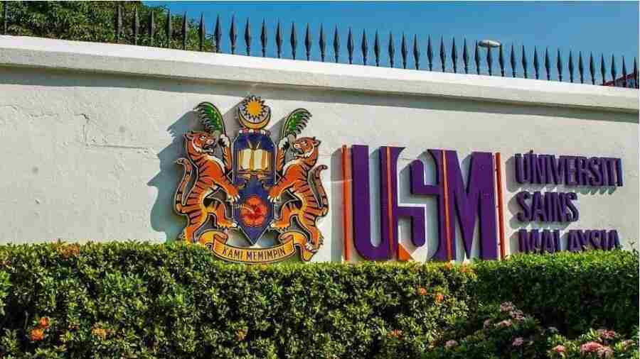 馬來西亞理科大學(xué)商業(yè)分析課程輔導(dǎo)