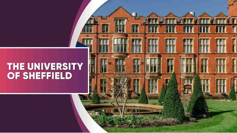 謝菲爾德大學(xué)勸退申訴