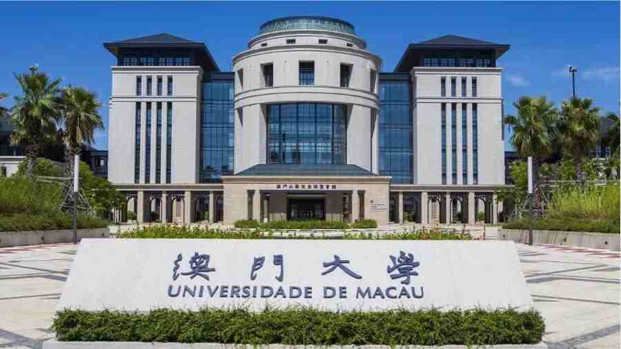 澳門(mén)小組作業(yè)輔導(dǎo)