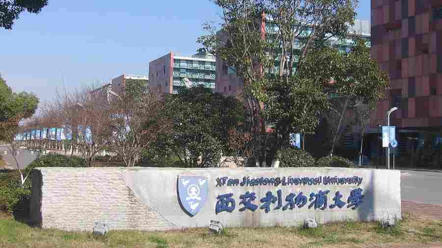 西交利物浦大學IFB315課程輔導